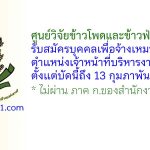 ศูนย์วิจัยข้าวโพดและข้าวฟ่างแห่งชาติ รับสมัครบุคคลเพื่อจ้างเหมาบริการ ตำแหน่งเจ้าหน้าที่บริหารงานทั่วไป