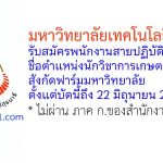 มหาวิทยาลัยเทคโนโลยีสุรนารี รับสมัครพนักงานสายปฏิบัติการ ตำแหน่งนักวิชาการเกษตร สังกัดฟาร์มมหาวิทยาลัย