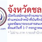 จังหวัดชลบุรี รับสมัครลูกจ้างเหมาบริการ ตำแหน่งเจ้าหน้าที่บันทึกข้อมูลและพัฒนาระบบสารสนเทศ