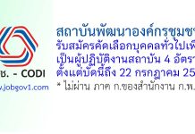 สถาบันพัฒนาองค์กรชุมชน (องค์การมหาชน) รับสมัครคัดเลือกบุคคลทั่วไปเพื่อเป็นผู้ปฏิบัติงานสถาบัน 4 อัตรา