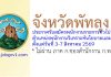 จังหวัดพัทลุง รับสมัครพนักงานราชการทั่วไป ตำแหน่งพนักงานวิเคราะห์นโยบายและแผน
