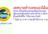 เทศบาลตำบลหนองไม้แดง รับสมัครบุคคลเพื่อสรรหาและเลือกสรรเป็นพนักงานจ้างทั่วไป 2 อัตรา